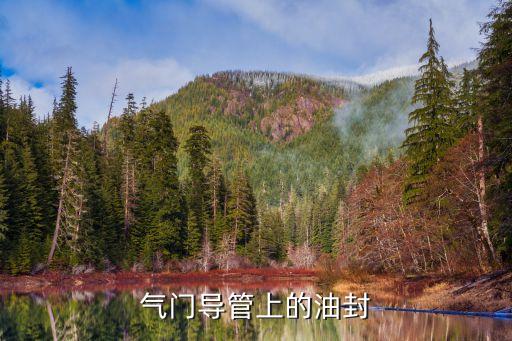 气门导管上的油封