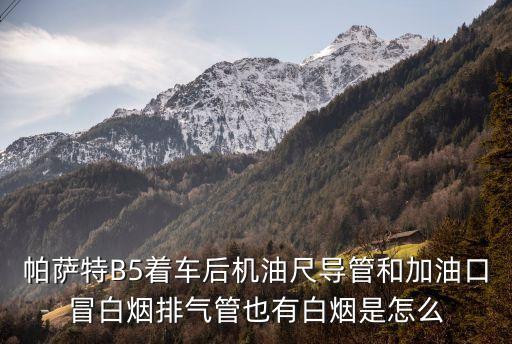 帕萨特b5换了气门油封怎么还有烟，帕萨特B5着车后机油尺导管和加油口冒白烟排气管也有白烟是怎么