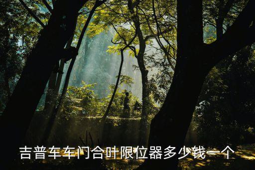 吉普车车门合叶限位器多少钱一个