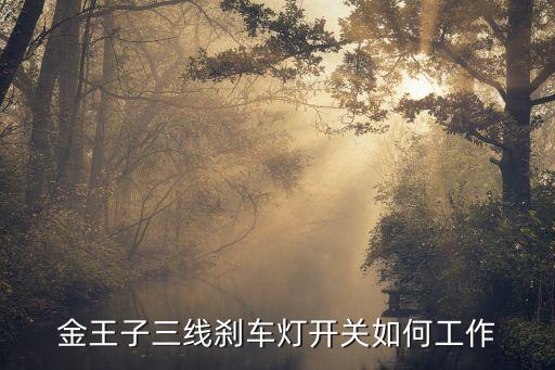 金王子三线刹车灯开关如何工作