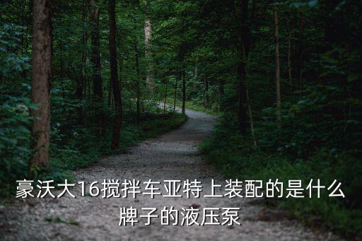 豪沃大16搅拌车亚特上装配的是什么牌子的液压泵