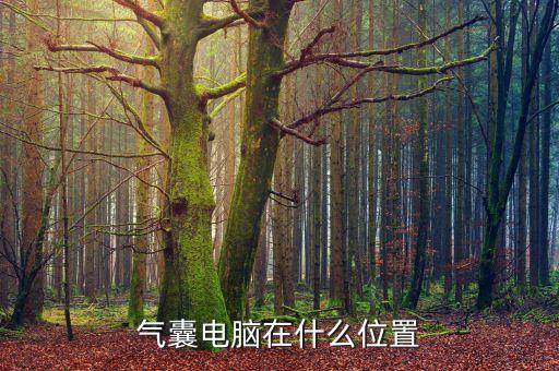 D22气囊电脑在什么位置，北汽绅宝d280气囊电脑在哪个位置