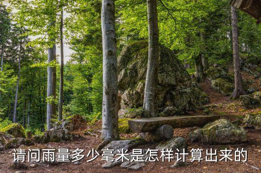 雨括的20是多少厘米，大众图观越野车雨括器多少长