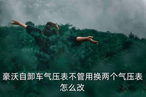 豪沃自卸车气压表不管用换两个气压表怎么改