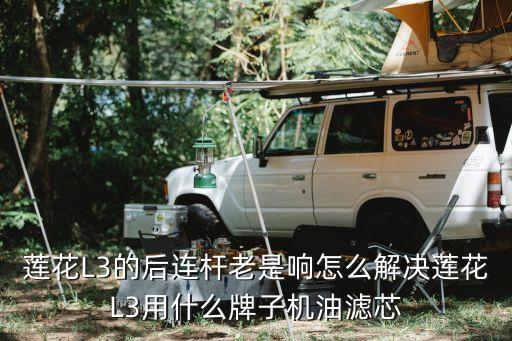莲花L3的后连杆老是响怎么解决莲花L3用什么牌子机油滤芯