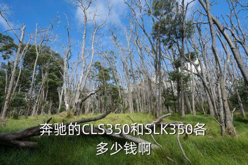 奔驰的CLS350和SLK350各多少钱啊