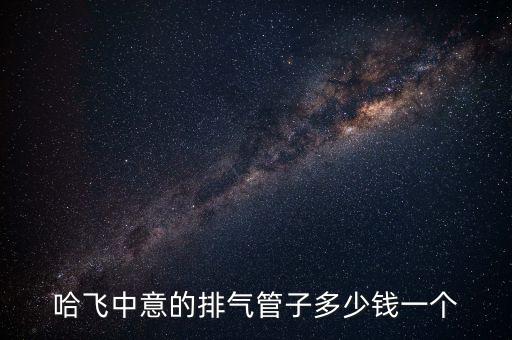 哈飞中意的排气管子多少钱一个