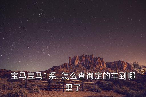 宝马宝马1系  怎么查询定的车到哪里了