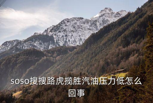 soso搜搜路虎揽胜汽油压力低怎么回事