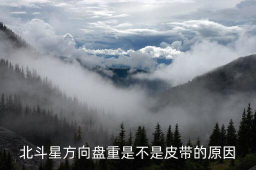 北斗星方向机沉是什么原因，北斗星汽车电子助力太沉什么原因