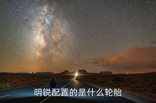 斯柯达明锐用什么轮胎，明锐用的是什么轮胎