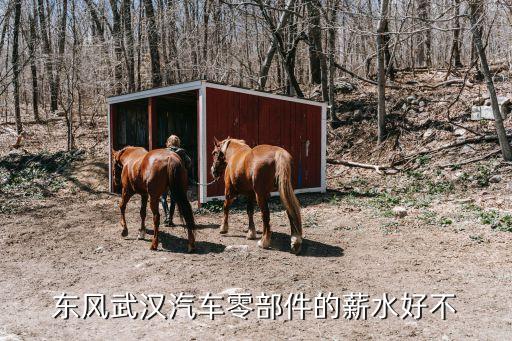 武汉东风汽配厂怎么样，东风武汉汽车零部件的薪水好不