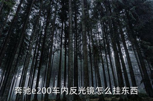 奔驰e200车内反光镜怎么挂东西
