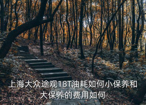 上海大众途观18T油耗如何小保养和大保养的费用如何