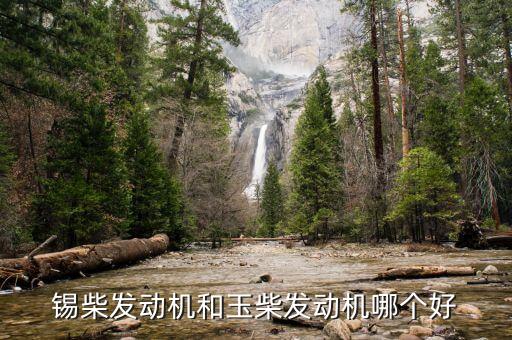 锡柴发动机和玉柴发动机哪个好