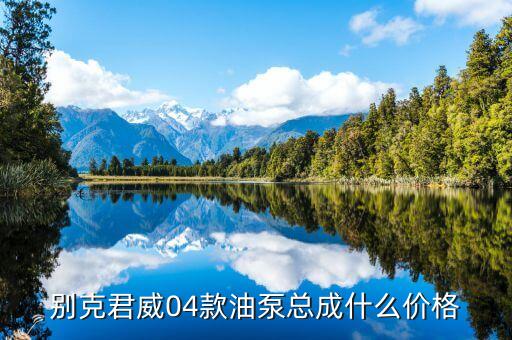 别克君威04款油泵总成什么价格
