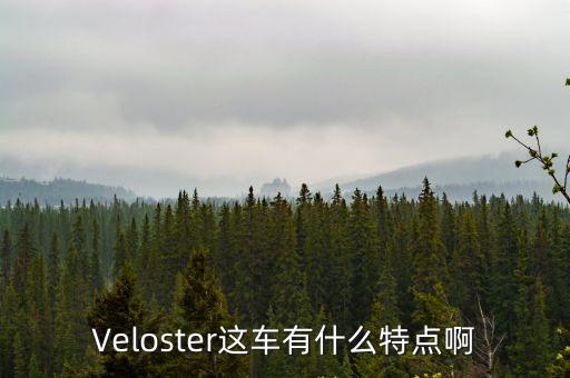 Veloster这车有什么特点啊