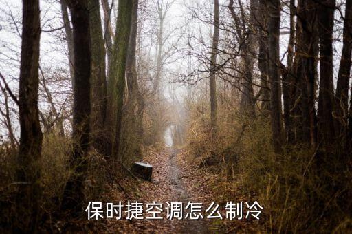 保时捷卡宴冷空调怎么开，2004款保时捷卡宴的空调制冷开关是哪个