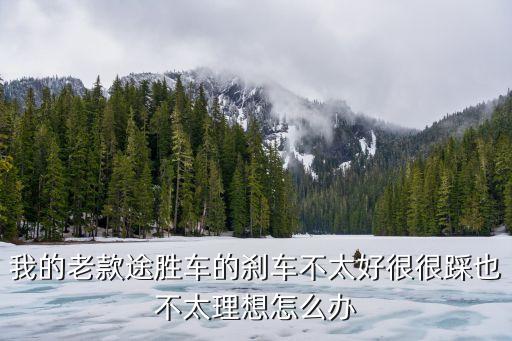 我的老款途胜车的刹车不太好很很踩也不太理想怎么办