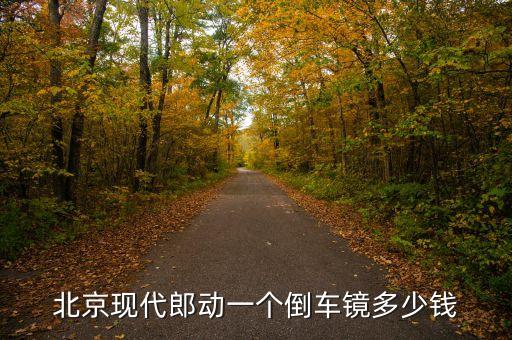 北京现代郎动一个倒车镜多少钱