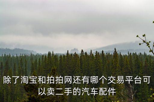 除了淘宝和拍拍网还有哪个交易平台可以卖二手的汽车配件