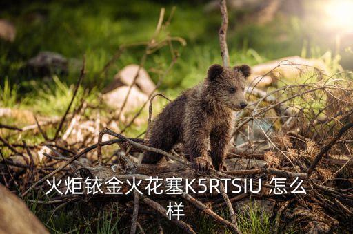 火炬铱金火花塞K5RTSIU 怎么样