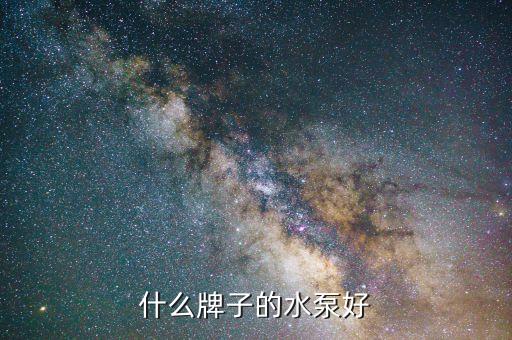 奥迪水泵哪个牌子好，什么牌子的水泵好