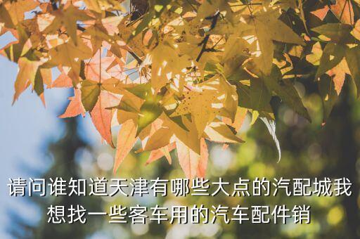 请问谁知道天津有哪些大点的汽配城我想找一些客车用的汽车配件销