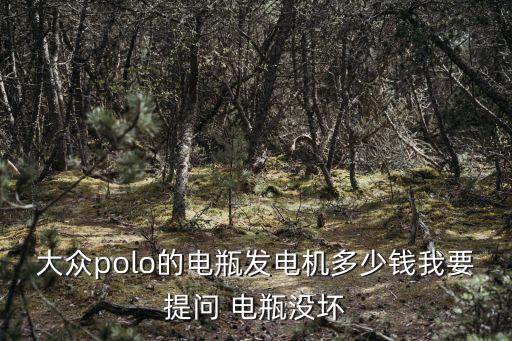 大众polo的电瓶发电机多少钱我要提问 电瓶没坏