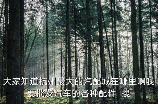 大家知道杭州最大的汽配城在哪里啊我要批发汽车的各种配件  搜