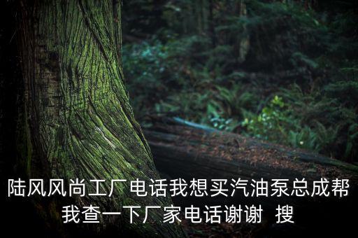 陆风风尚工厂电话我想买汽油泵总成帮我查一下厂家电话谢谢  搜