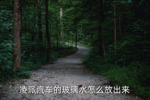 凌派汽车的玻璃水怎么放出来