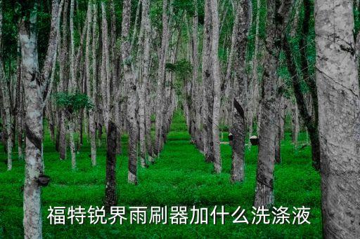 福特锐界雨刷器加什么洗涤液