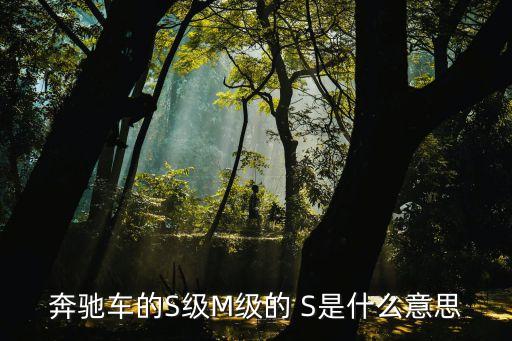 奔驰车的S级M级的 S是什么意思