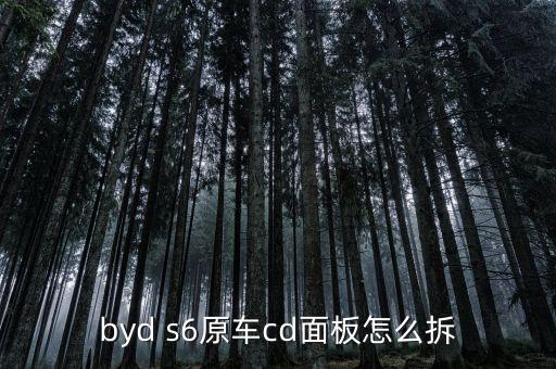 福瑞迪面板怎么拆，请教高手福瑞迪CD主机面板怎么拆