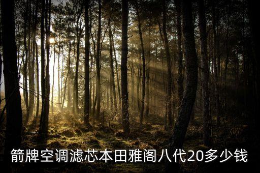 箭牌空调滤芯本田雅阁八代20多少钱