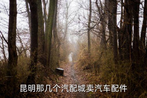 昆明那几个汽配城卖汽车配件