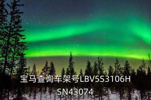 宝马查询车架号LBV5S3106HSN43074