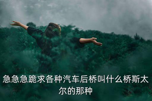 急急急跪求各种汽车后桥叫什么桥斯太尔的那种