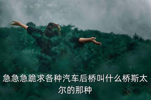 奔驰后桥有多少种，急急急跪求各种汽车后桥叫什么桥斯太尔的那种