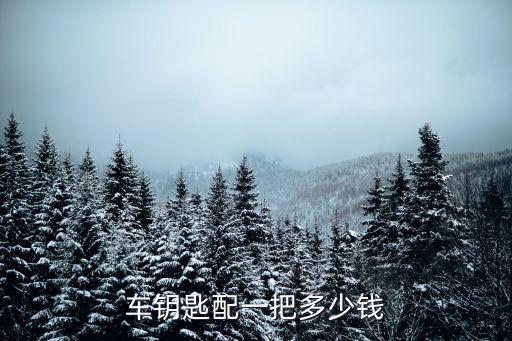 车钥匙配一把多少钱