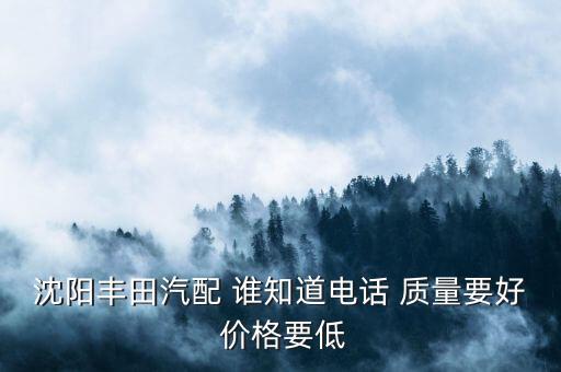 汽配电话是多少钱，西安哪有卖领航星电子狗啊