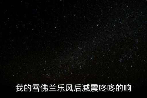 我的雪佛兰乐风后减震咚咚的响