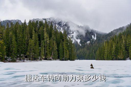 捷达助力泵多少钱，大众捷达更换转向助力泵多少钱