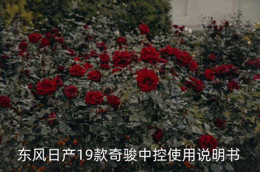 东风日产19款奇骏中控使用说明书