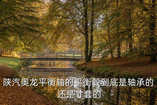 奥龙平衡轴怎么好坏，陕汽奥龙平衡轴的平衡毂到底是轴承的 还是寸套的
