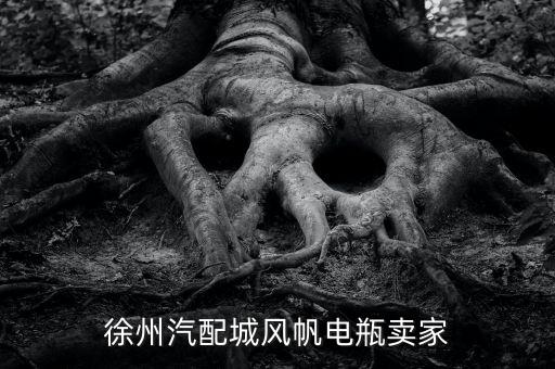 徐州汽配城风帆电瓶卖家