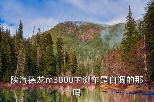 陕汽德龙m3000的刹车是自调的那吗