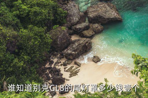 谁知道别克GL8的尾灯罩多少钱壹个