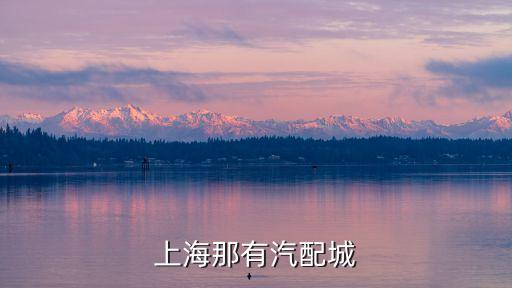上海那有汽配城